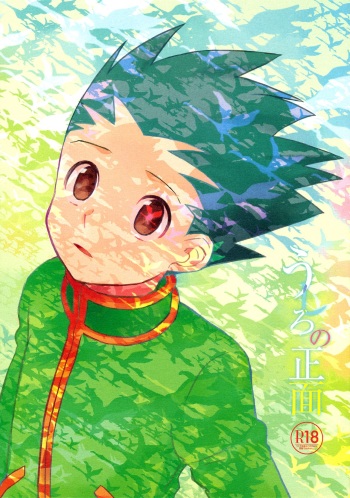 (C86) [Irori (Yui)] Ushiro no Shoumen (Hunter x Hunter) cover
