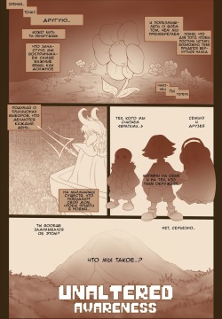 Unaltered Awareness  WIP