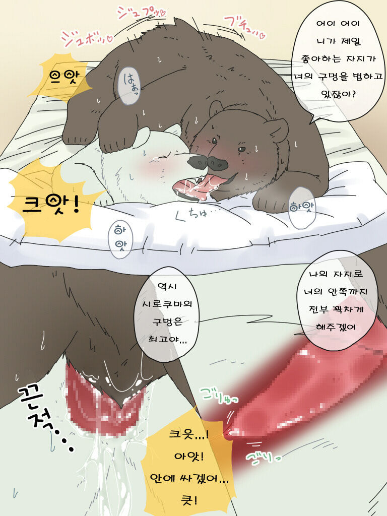 Shirokuma-san to Haiiroguma-san ga Ecchi suru dake | 시로쿠마 씨와 그리즐리 씨가 섹스한 것 뿐 page 11 full