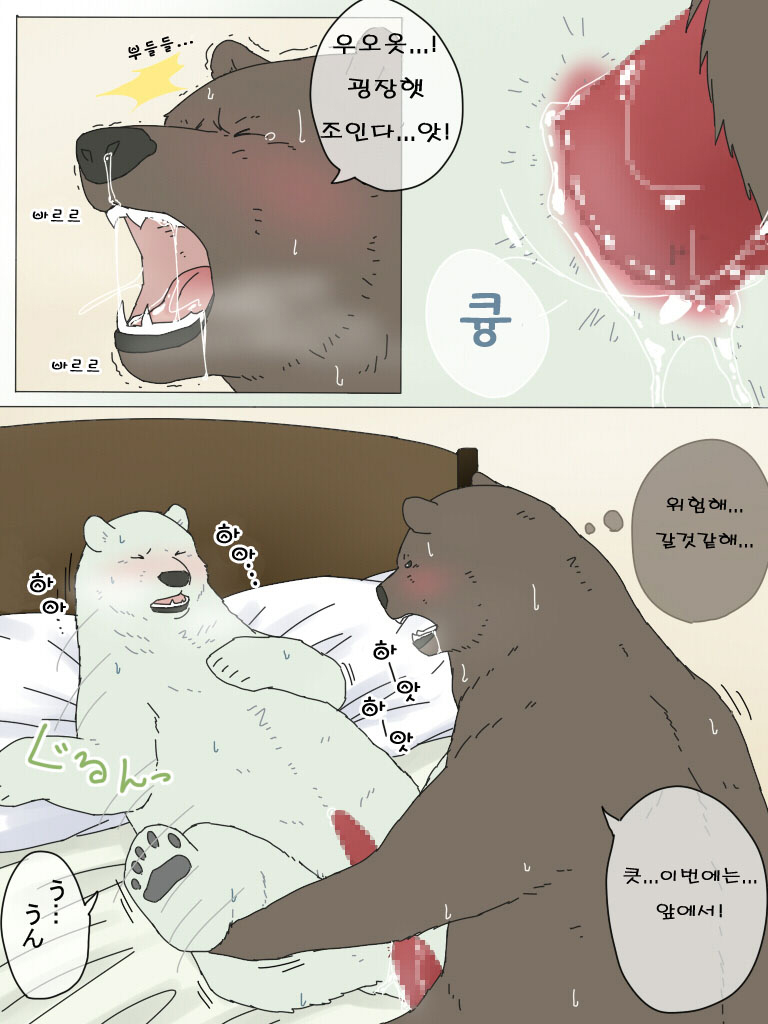 Shirokuma-san to Haiiroguma-san ga Ecchi suru dake | 시로쿠마 씨와 그리즐리 씨가 섹스한 것 뿐 page 12 full