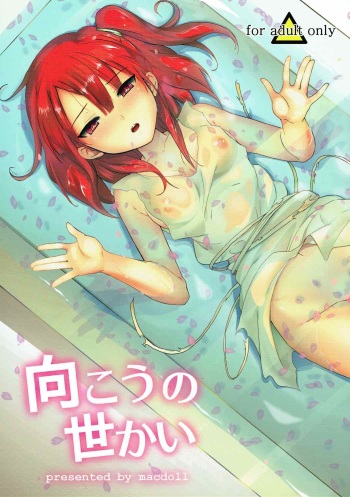 (COMIC1☆7) [macdoll (Shijou Mako)] Mukou no Sekai (Magi: The Labyrinth of Magic) cover