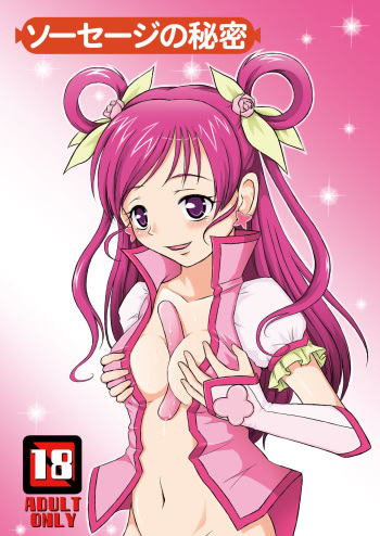 [Himitsu Doyoubi (Matsutaka Zon)] Sausage no Himitsu (Yes! Precure 5 Go Go!) [Digital] cover