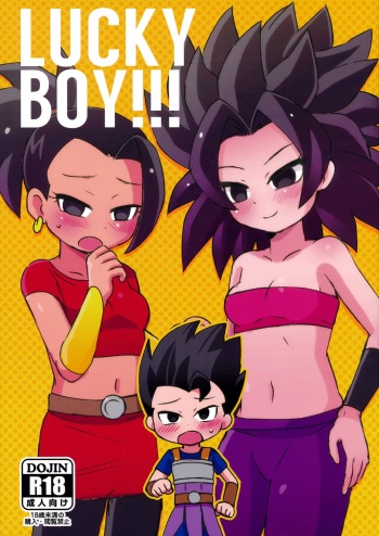(SPARK12) [Broken World (Iinano)] LUCKY BOY!!! (Dragon Ball Super) cover