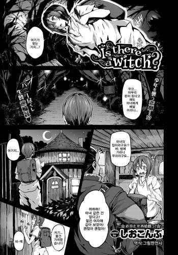 [Shiokonbu] Is there a witch? (COMIC BAVEL 2017-11) [Korean] [그림판전사] [Digital] cover