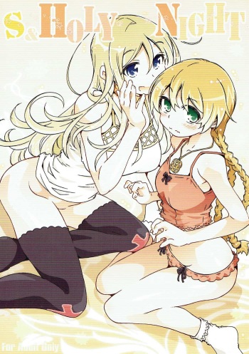 (COMIC1☆11) [OPEN BOOK (Toumi Haruka)] S & HOLY NIGHT (Sword World 2.0) cover