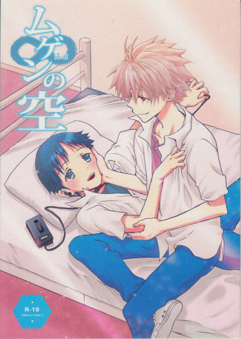 (C83) [RAYTREC (Fuyunagi Reku)] Mugen no Sora (Neon Genesis Evangelion) cover
