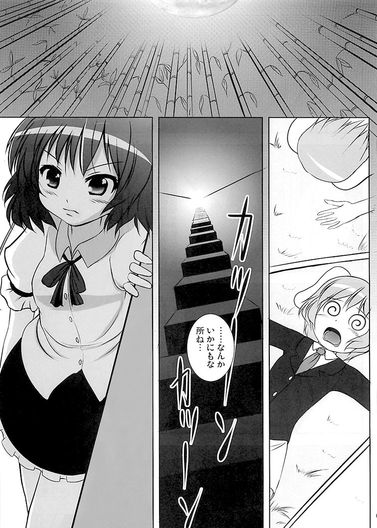 Shameimaru Research 20XX page 5 full
