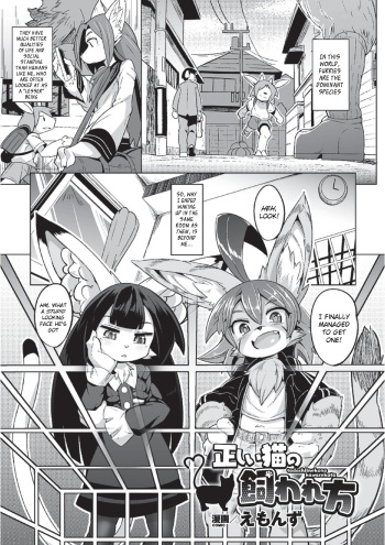[Emons] Tadashii Neko no Kawarekata (2D Comic Magazine Monster Musume ni Okasaretai! Vol. 2) [English] [BSN] [Digital] cover