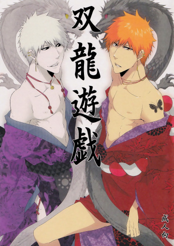 (Bleach Spark) [Gyoukou (Rioka Masaki)] Souryuu Yuugi | Play of the Twin Dragons (Bleach) [Russian] [Майо-кун] cover