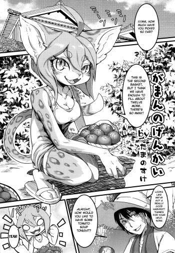 (C93) [Mayoineko (Tamanosuke)] Gaman no Genkai (Kemokko Lovers 8) [English] [BSN] cover