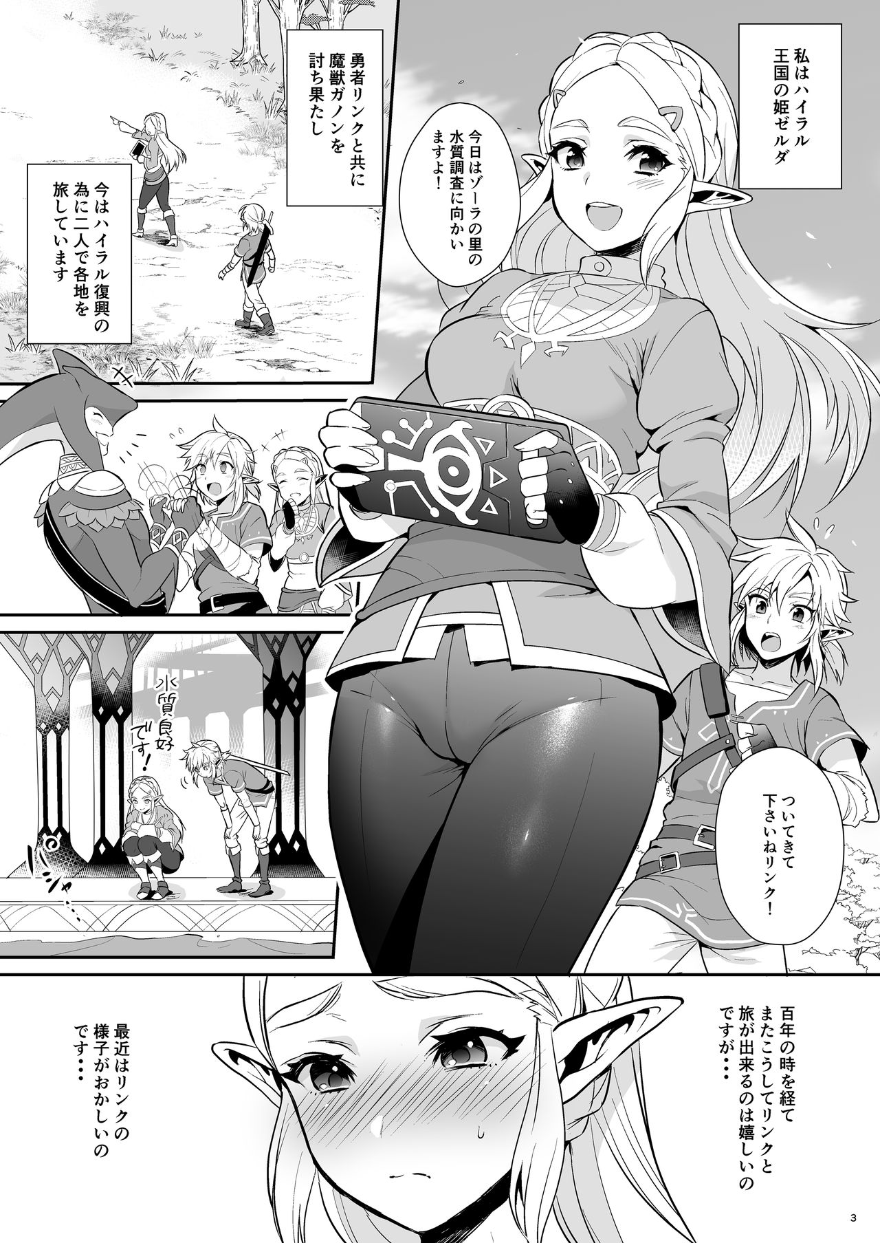 Hyrule Hanei no Tame no Katsudou! page 4 full