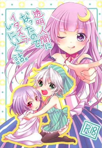 (C92) [Mikenekotei (Mike)] Toumei Ningen ni Natta no de, Itazura Shi ni Iku Hanashi. (Touhou Project) cover