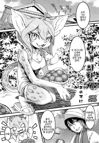 (C93) [Mayoineko (Tamanosuke)] Gaman no Genkai (Kemokko Lovers 8) [Korean] [LWND] cover