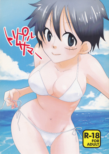 (C78) [Try Muscle (Arikawa Akira)] Triple Summer (One Piece) [English] {Hennojin} cover