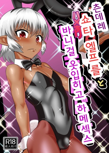 [Yuunagi no Senryokugai Butai (Nagi Ichi)] Tsuntsun Shota Elf to Hame Ari Sekukyaba Bunny | 츤데레 쇼타엘프를 바니걸 옷입히고 하메섹스 [Korean] [Digital] cover