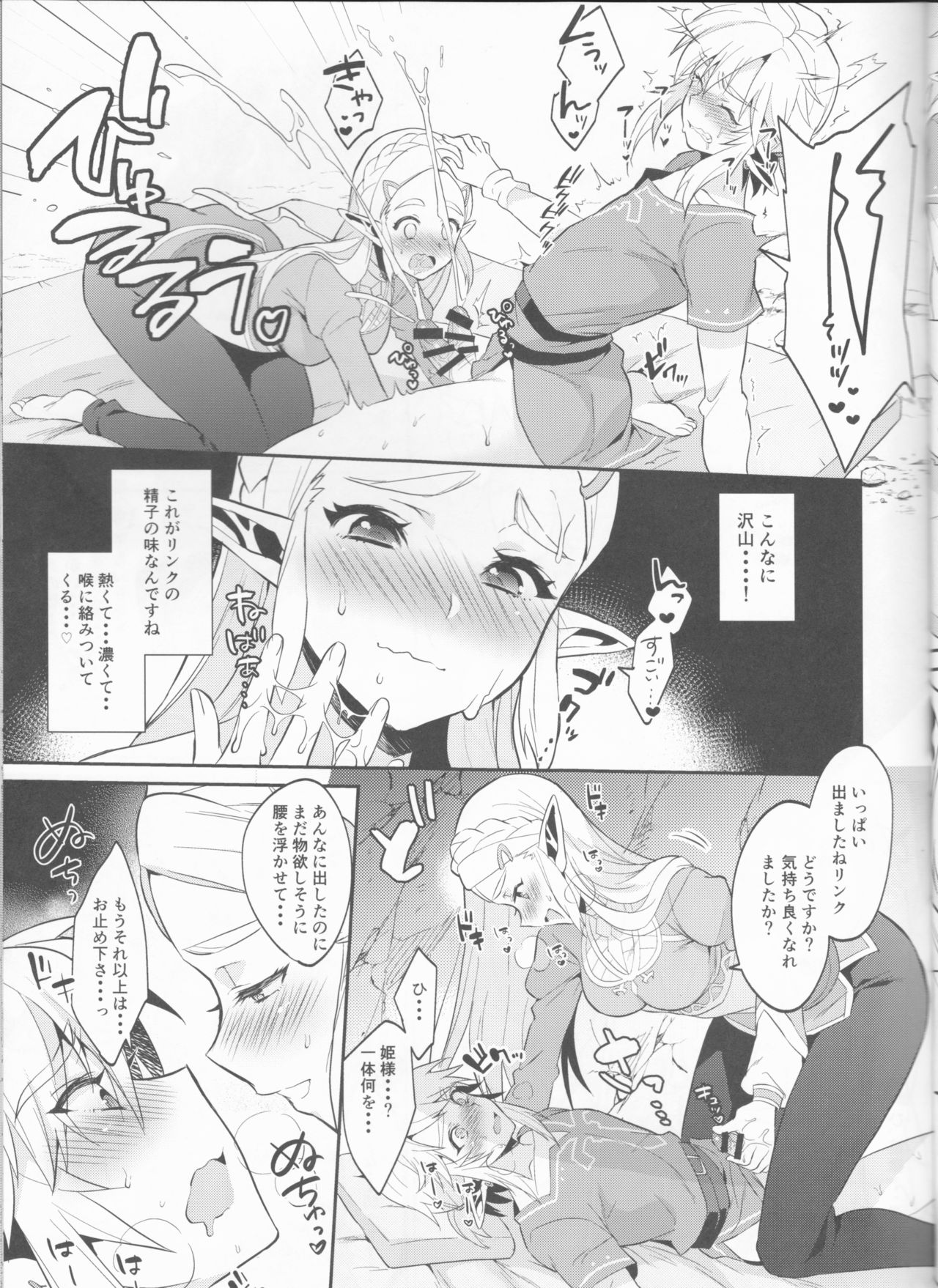 Hyrule Hanei no Tame no Katsudou! page 12 full