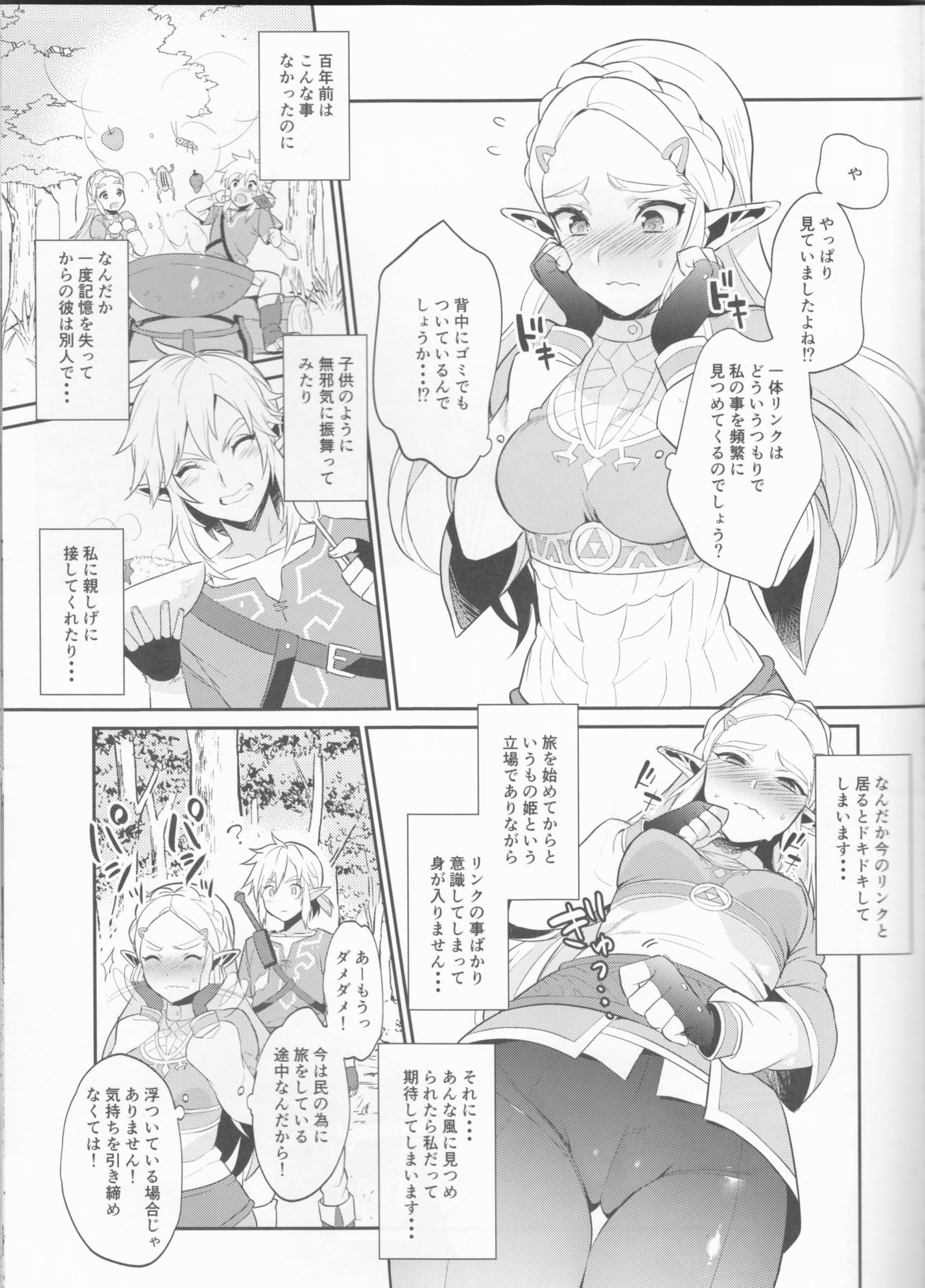 Hyrule Hanei no Tame no Katsudou! page 6 full