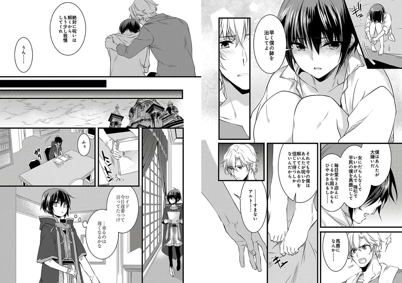 Nyotaika shita Boku o Kishi-sama-tachi ga Nerattemasu -Otoko ni Modoru tame ni wa Dakareru shika Arimasen!- 3 page 11 full