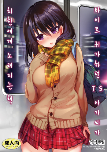 [Amuai Okashi Seisakusho (Kurimoti Tiduru)] Beit Gaeri no TS kko ga Chikan ni Nerawarechau Bon | 바이트 귀가하던 TS 아가씨가 치한에게 노려지는 책 [Korean] [Digital] cover