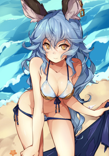 [Sizyuki] Ferry-chan ga Shitekureru Hon (Granblue Fantasy) cover