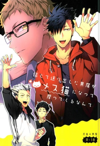 (HaruCC20) [Diego (Mano)] Shinjite Okuridashita Kuroo ga Mesuneko ni Natte Modottekuru nante (Haikyuu!!) cover