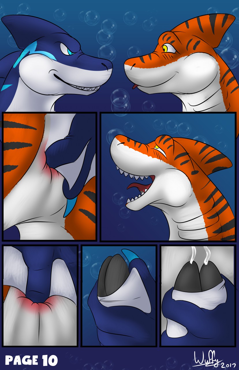 New Wetsuits page 10 full