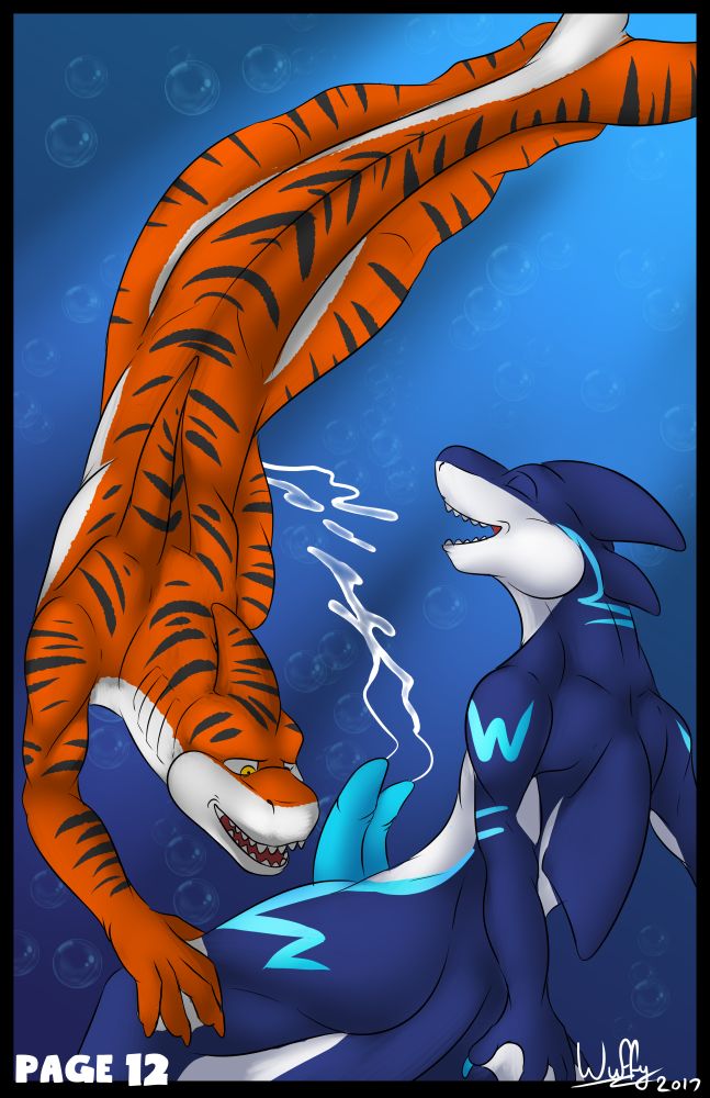 New Wetsuits page 12 full