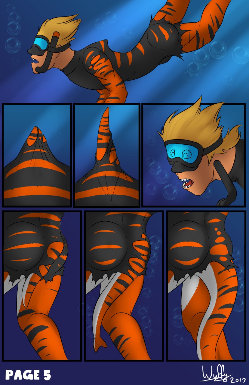 New Wetsuits page 5 full