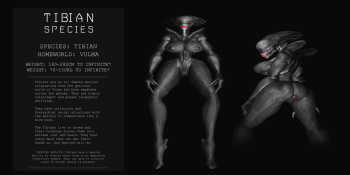 Tibians info by Wocky cover