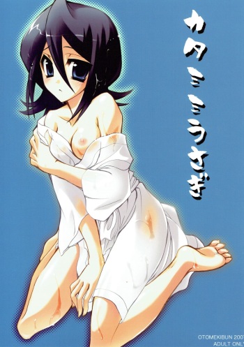 (SC34) [OTOMEKIBUN (Sansyoku Amido.)] Katamimi Usagi (Bleach) cover