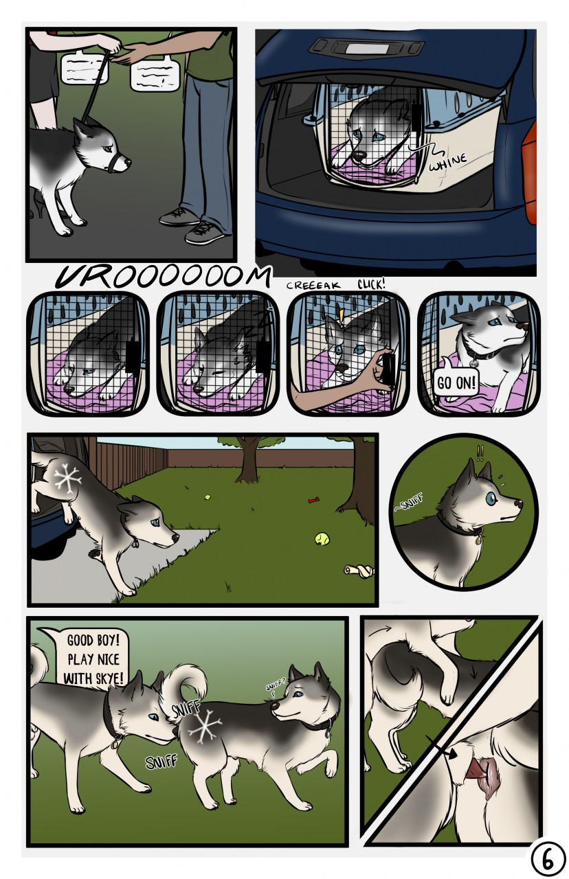 The Dog Show page 6 full