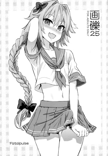 (C92) [Fatalpulse (Asanagi)] Gareki 25 (Various) [English] cover