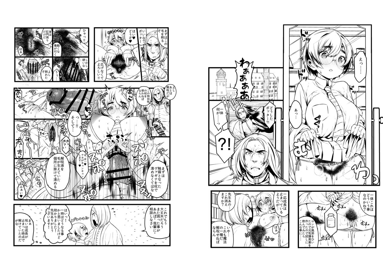 愛の妙薬準備号・改訂版 page 12 full