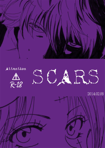 [A Joke is Hard!!! (Yanagi)] SCARS (Gintama) cover