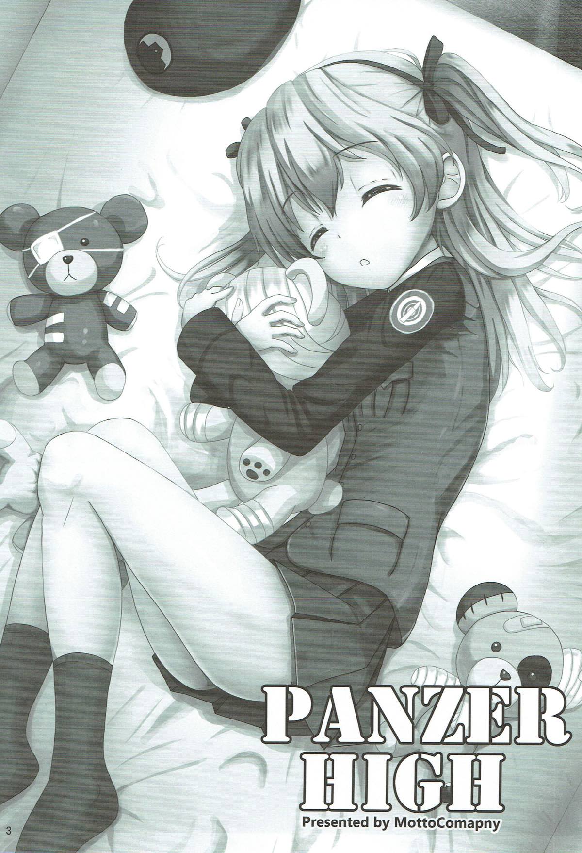 PANZER HIGH page 2 full