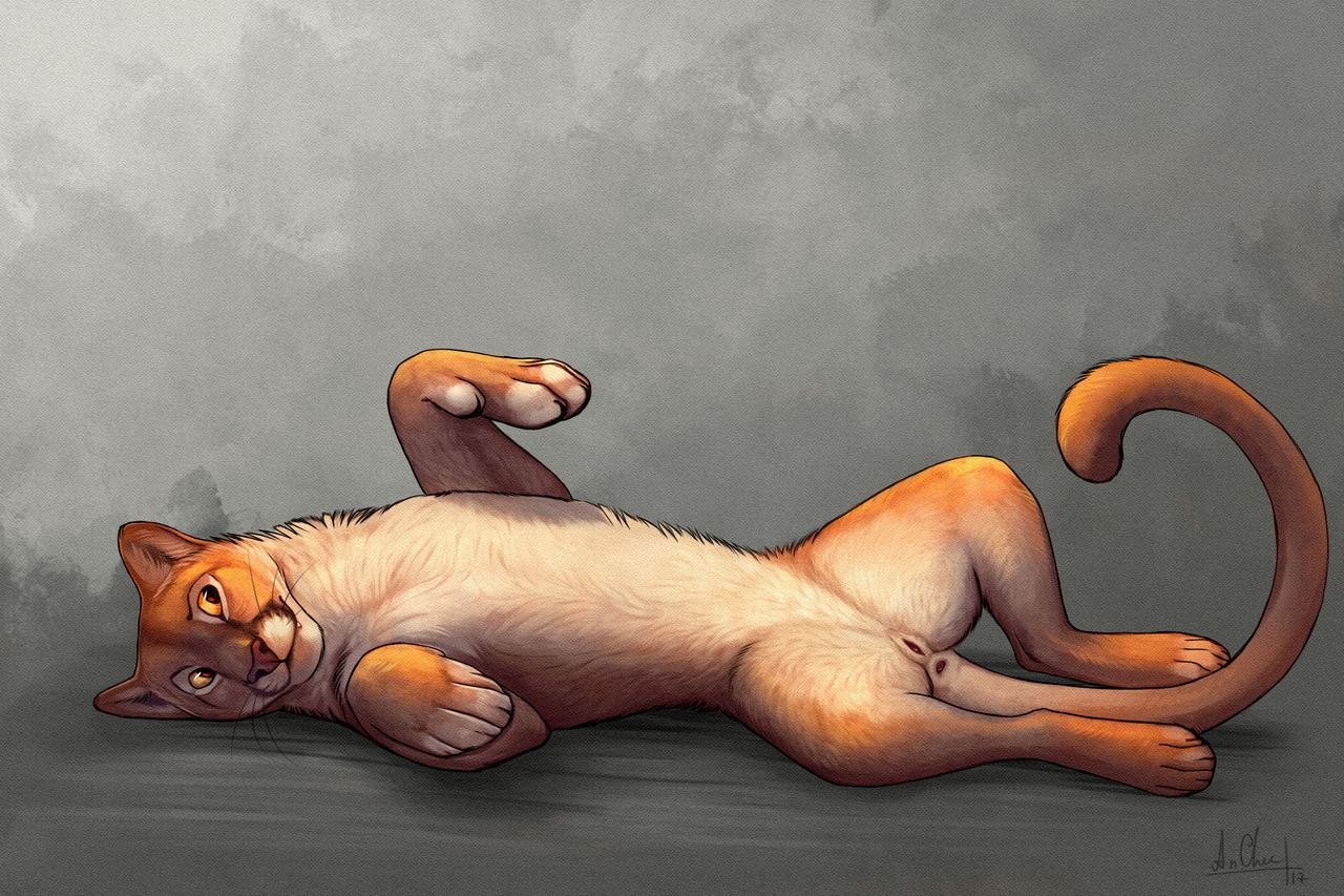 Furry Art Collection 2017 page 11 full