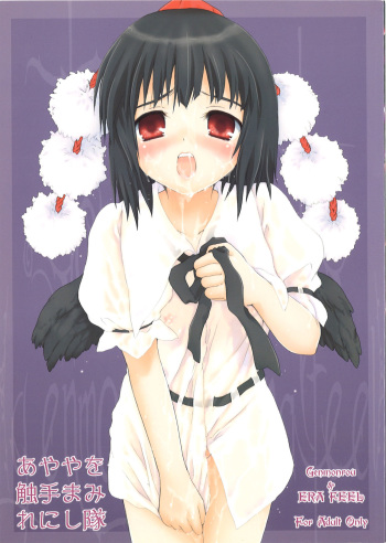 (C75) [ERA FEEL (Kuraoka Aki)] Ayaya wo Shokushu Mamire ni Shitai (Touhou Project) cover