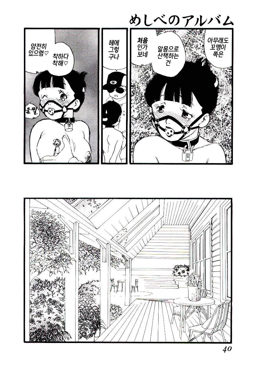 Meshibe no Album | 암꽃술 앨범 page 12 full