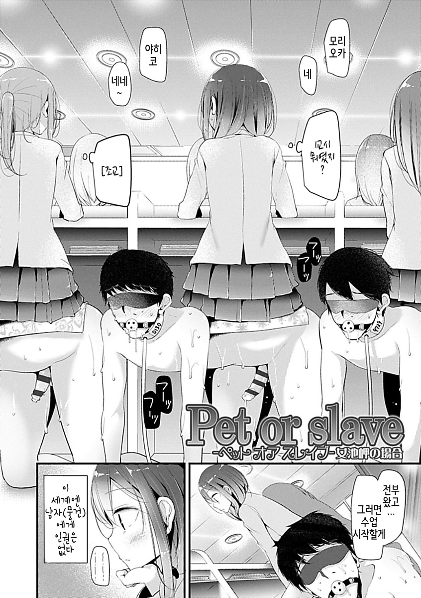 Pet or Slave Meike Misaki Baai | 펫 오어 슬레이브 메이케 미사키의 경우 page 3 full