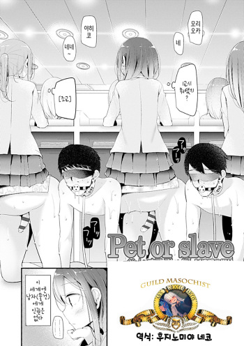 [Oouso] Pet or Slave Meike Misaki Baai | 펫 오어 슬레이브 메이케 미사키의 경우 (Pet or Slave!!) [Korean] [Digital] cover