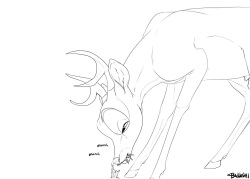 A WILD PENIS APPEARED!