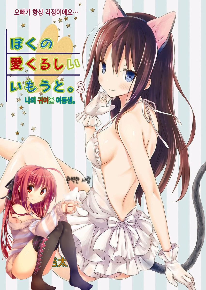 Boku no Aikurushii Imouto. 3 | 나의 귀여운 여동생。3 page 2 full