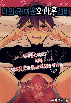 Ore no Kawaii Onaho Senpai | 나의 귀여운 오나홀 선배