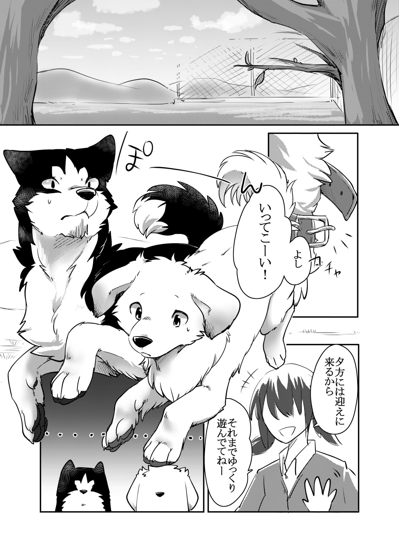 More, more. page 4 full