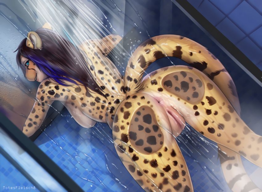 Cheetahs and beyond page 3 full