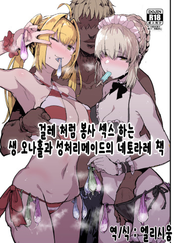 [Nhoooooooooooooo (Oosawara Sadao)] Yarichin ni Gohoushi Sex Suru Nama Onaho to Seishori Maid Netorase Hon | 걸레 처럼 봉사 섹스 하는 생 오나홀과 성저리에이드의 네토라레 잭 (Fate/Grand Order) [Korean] [엘리시움] [Digital] cover