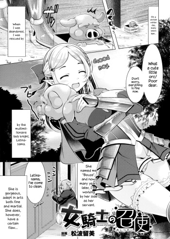 [Matsunami Rumi] Onna Kishi no Meshitsukai + Bangaihen | The Servant of the Lady Knight + Extra [English] {Hennojin} cover