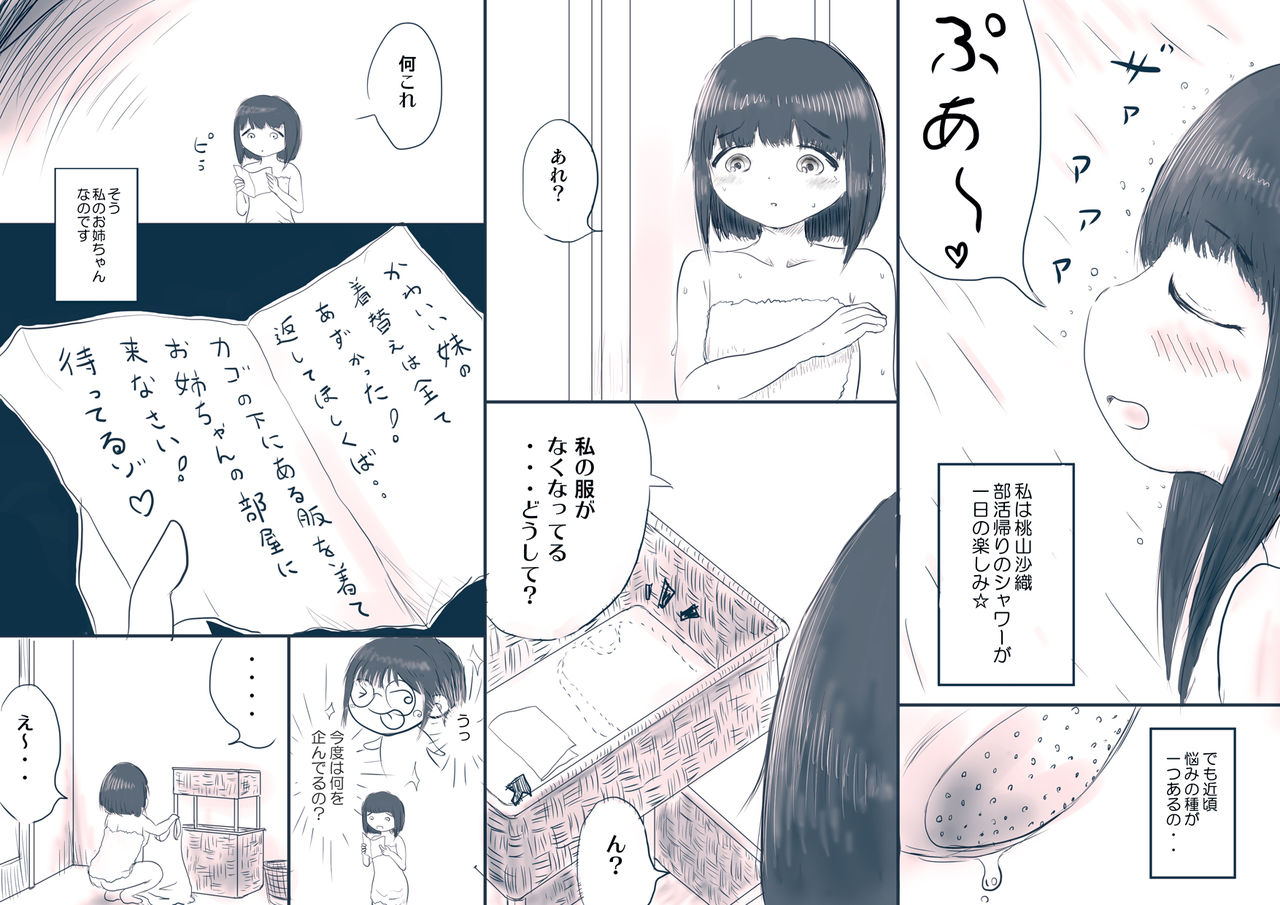 Ane no Kanpeki Tousatsu Keikaku page 2 full