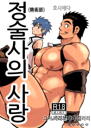 [Hoshiedatei (Hoshieda)] Seijutsushi no Koi | 정술사의 사랑 [Korean] [Digital] cover