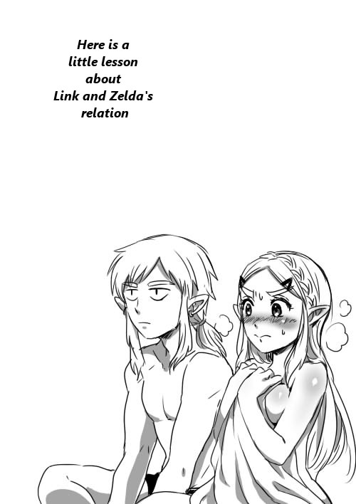 Link to Zelda no Shoshinsha ni Yasashii Sex Nyuumon | Here is a little lesson about Link and Zelda's relation page 1 full